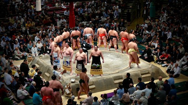 How do UK sumo coaches adjust techniques for lighter weight classes?
