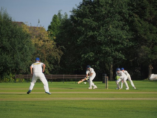 How can professional cricket players optimize their sleep patterns for better performance?
